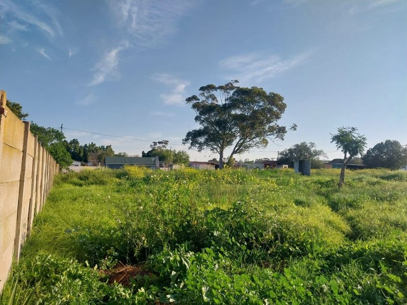 A vacant residential plot featuring a concrete boundary wall and established trees, offering a blank canvas for future development.