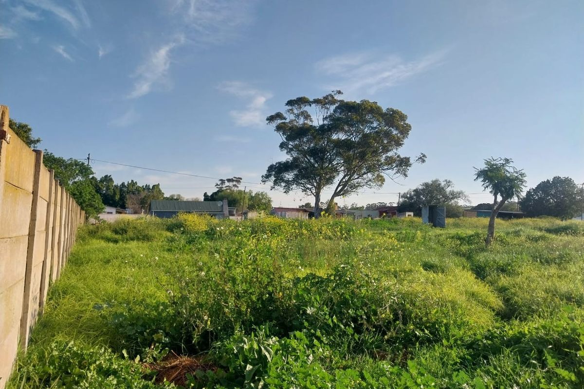 A vacant residential plot featuring a concrete boundary wall and established trees, offering a blank canvas for future development.