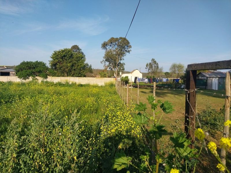 A view of a residential plot featuring a grassy area, wildflowers, and perimeter fencing with a concrete wall boundary.