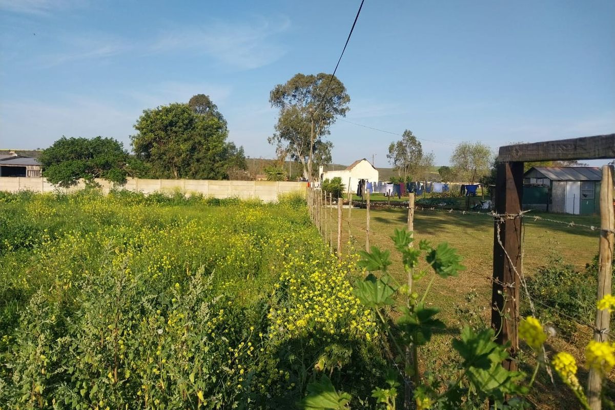 A view of a residential plot featuring a grassy area, wildflowers, and perimeter fencing with a concrete wall boundary.