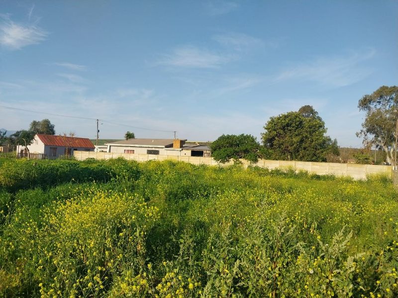 A vacant residential plot featuring overgrown vegetation and a precast concrete boundary wall, with neighboring properties visible in the background.