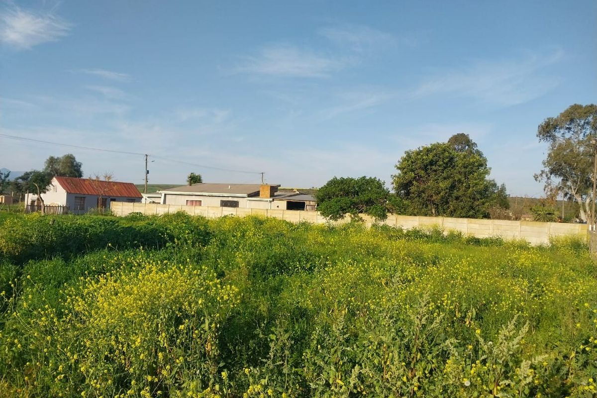 A vacant residential plot featuring overgrown vegetation and a precast concrete boundary wall, with neighboring properties visible in the background.