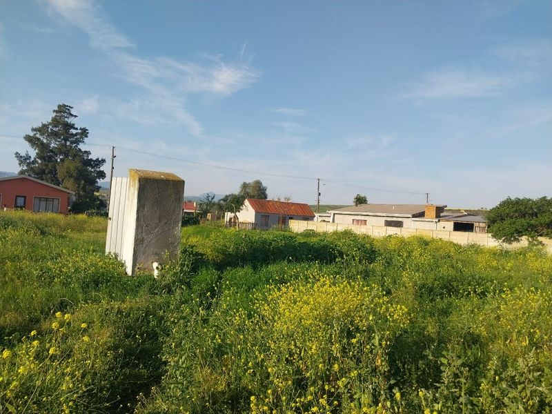A vacant residential plot featuring overgrown vegetation and a small concrete utility structure, situated in a quiet neighborhood setting.