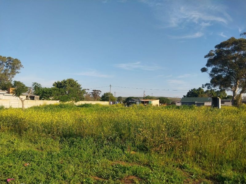 A vacant residential plot featuring open grassy terrain, perimeter walling, and established trees, offering a blank canvas for future development.
