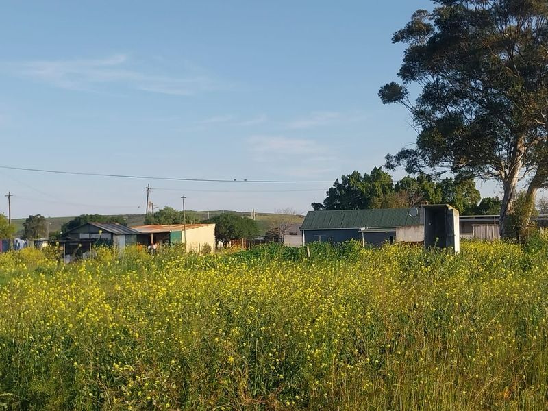 A view of a vacant residential plot featuring overgrown vegetation, mature trees, and existing outbuildings in the background.