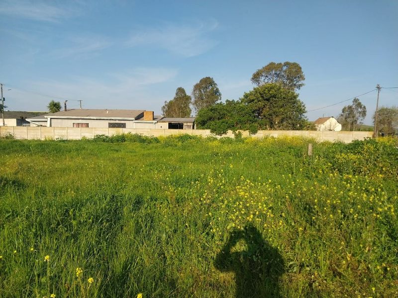 A view of a vacant residential plot featuring overgrown grass and a precast concrete boundary wall separating the property from neighboring structures.
