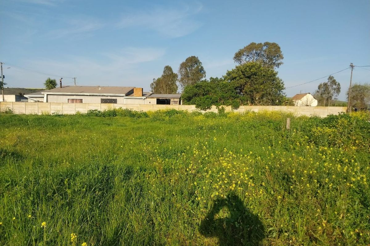 A view of a vacant residential plot featuring overgrown grass and a precast concrete boundary wall separating the property from neighboring structures.