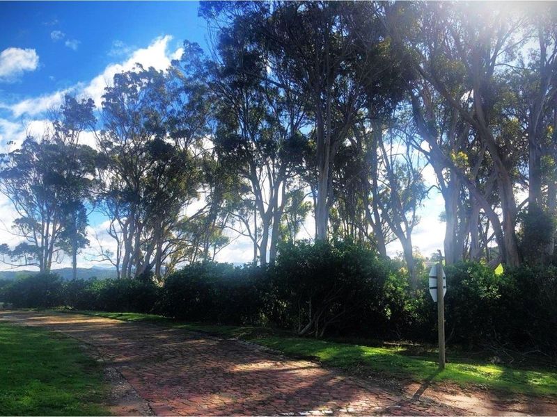 A scenic view of a residential garden area featuring mature trees and a paved pathway, offering a natural and tranquil setting.
