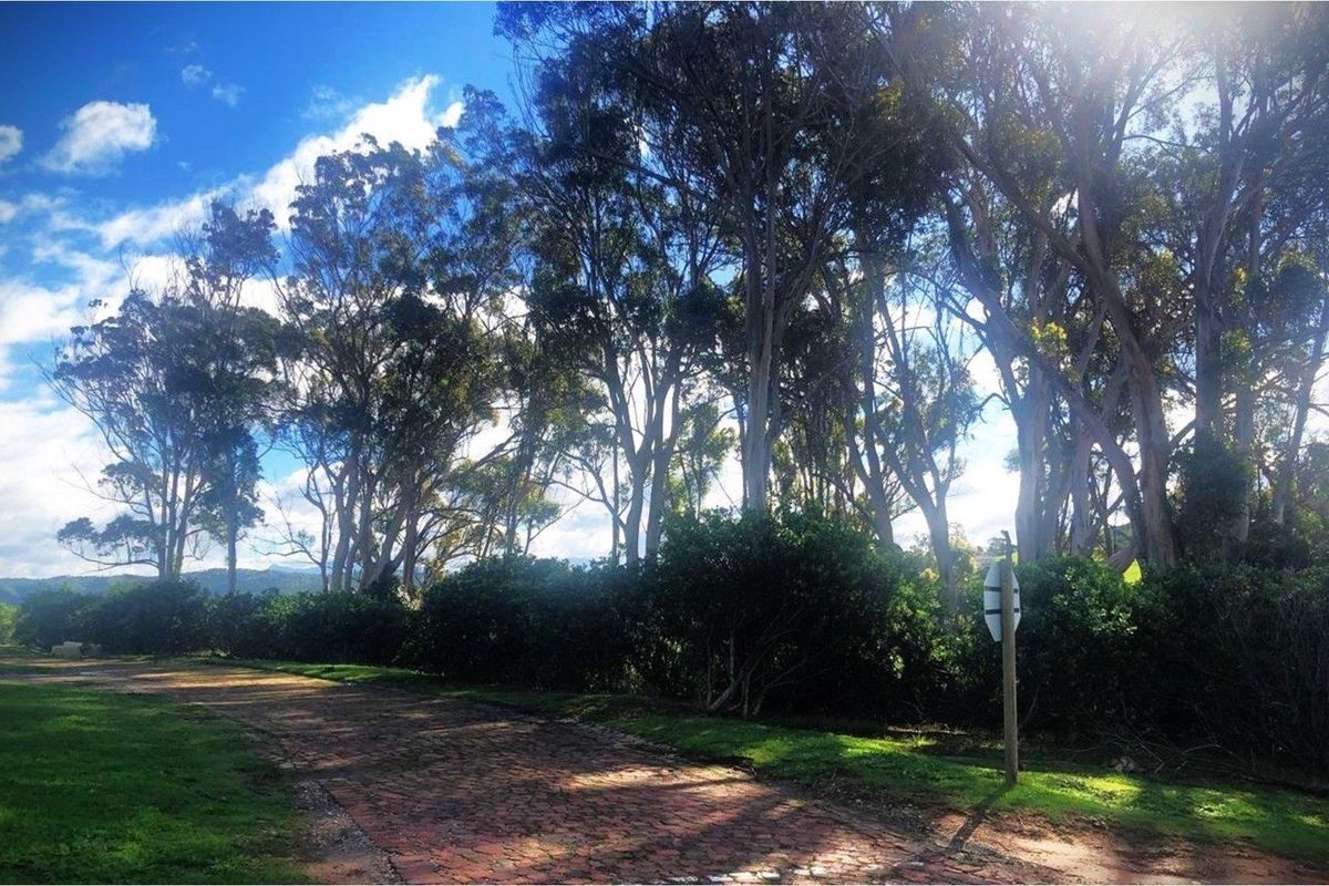 A scenic view of a residential garden area featuring mature trees and a paved pathway, offering a natural and tranquil setting.