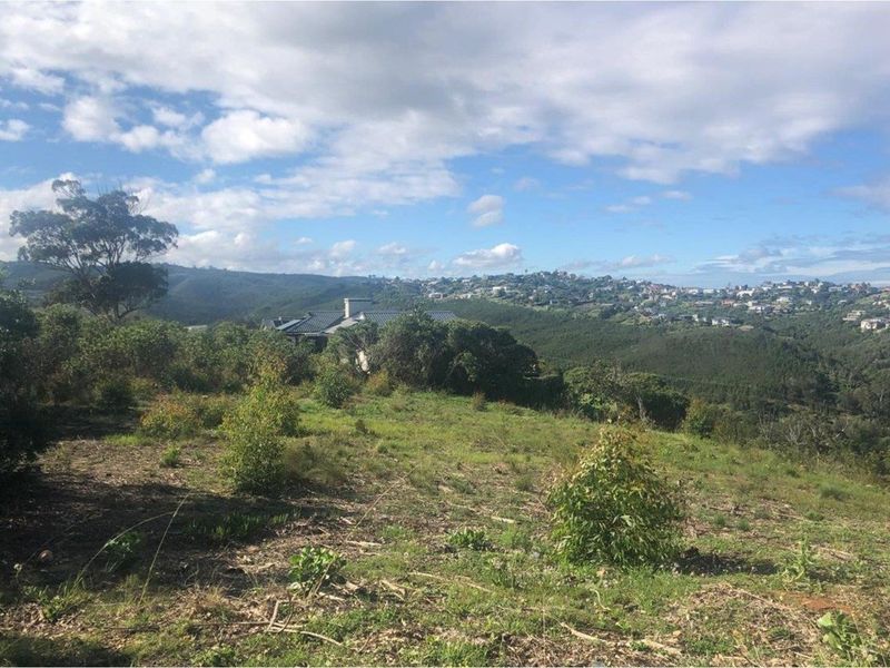 A scenic view overlooking a sloped residential plot with native vegetation and distant hillside housing developments.