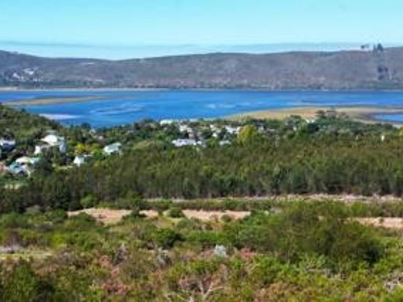 Elevated landscape view overlooking the lagoon, surrounding vegetation, and distant residential area.