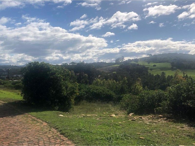 A scenic view overlooking a lush green landscape with rolling hills and a paved driveway in the foreground.