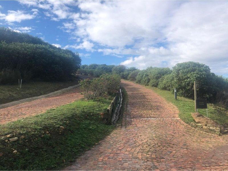 A view of a cobblestone driveway leading up a slope, featuring established landscaping and a drainage channel along the side.