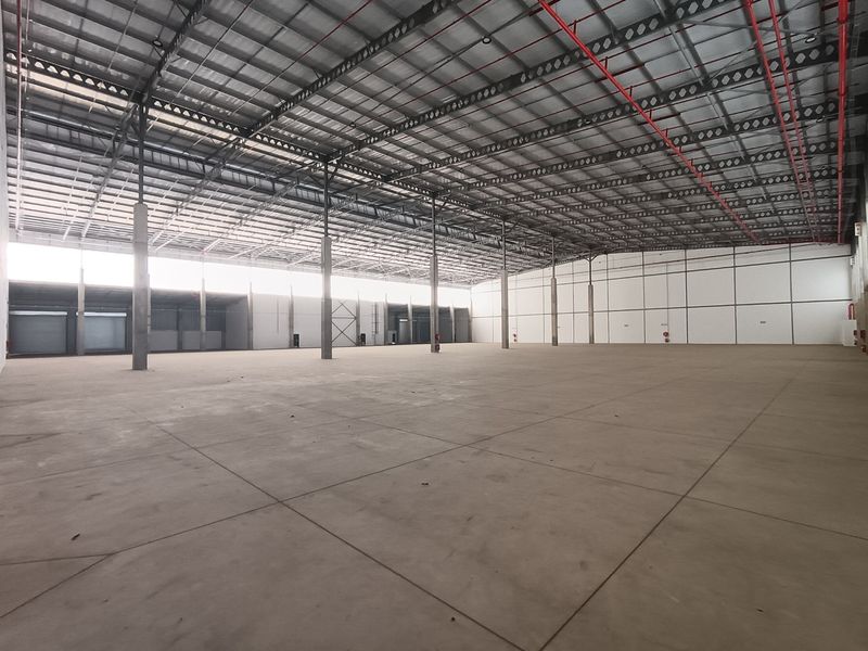 Spacious industrial warehouse featuring high ceilings, concrete flooring, exposed steel structure, and integrated fire sprinkler system, suitable for logistics or manufacturing operations.