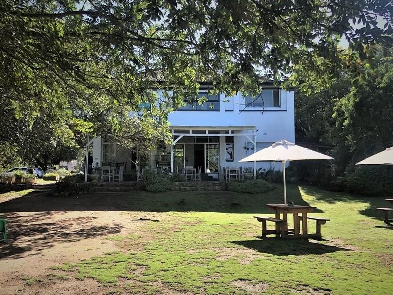 Rear view of the commercial property featuring a covered patio, stone steps, and an expansive garden area with mature trees.