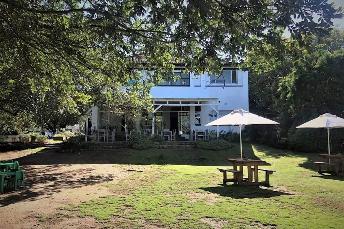 Rear view of the commercial property featuring a covered patio, stone steps, and an expansive garden area with mature trees.