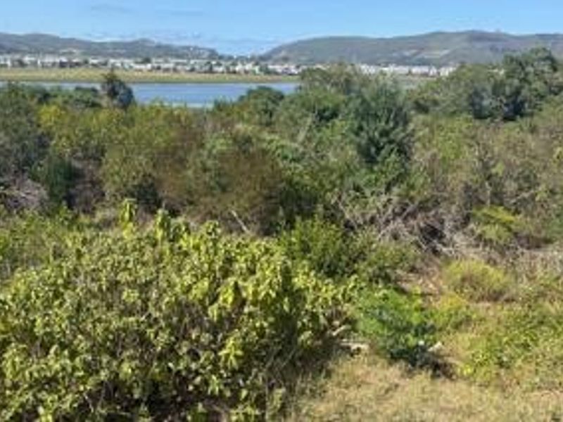 A scenic view overlooking natural coastal vegetation and an estuary with distant hills in the background.