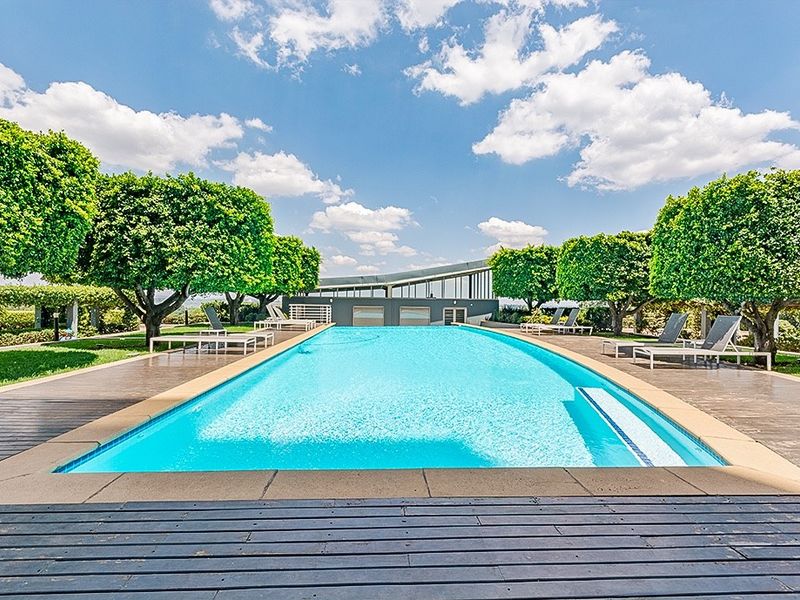 A well-maintained outdoor swimming pool area featuring timber decking, manicured trees, and a clear blue sky.