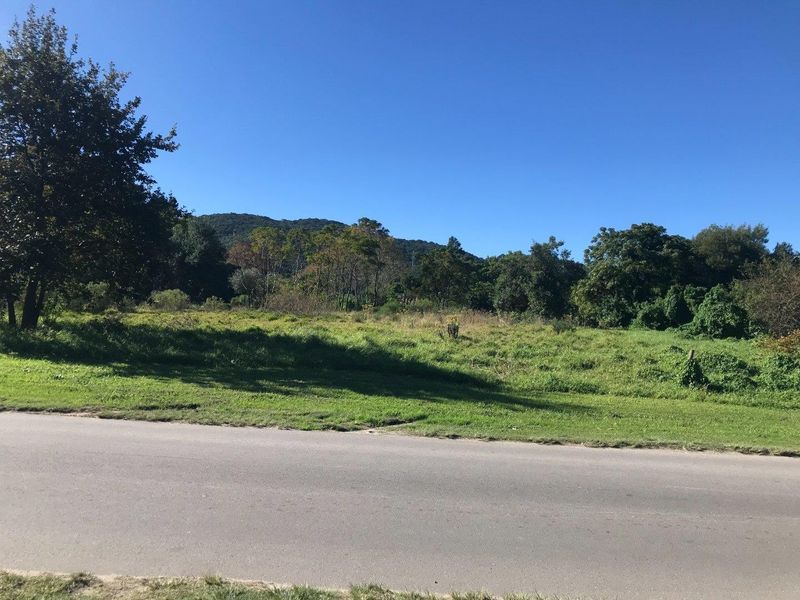 A view of an undeveloped residential plot of land from the adjacent asphalt road, featuring natural vegetation and a scenic mountain backdrop.