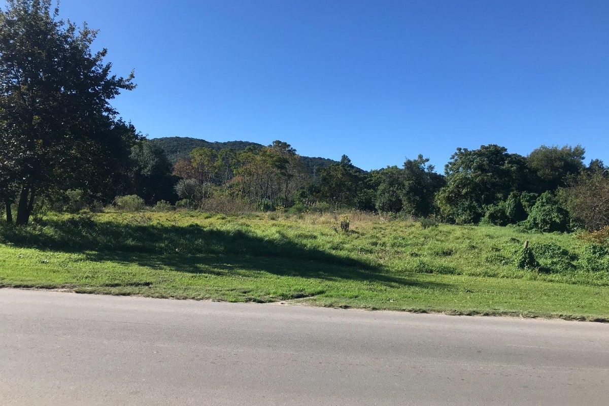 A view of an undeveloped residential plot of land from the adjacent asphalt road, featuring natural vegetation and a scenic mountain backdrop.