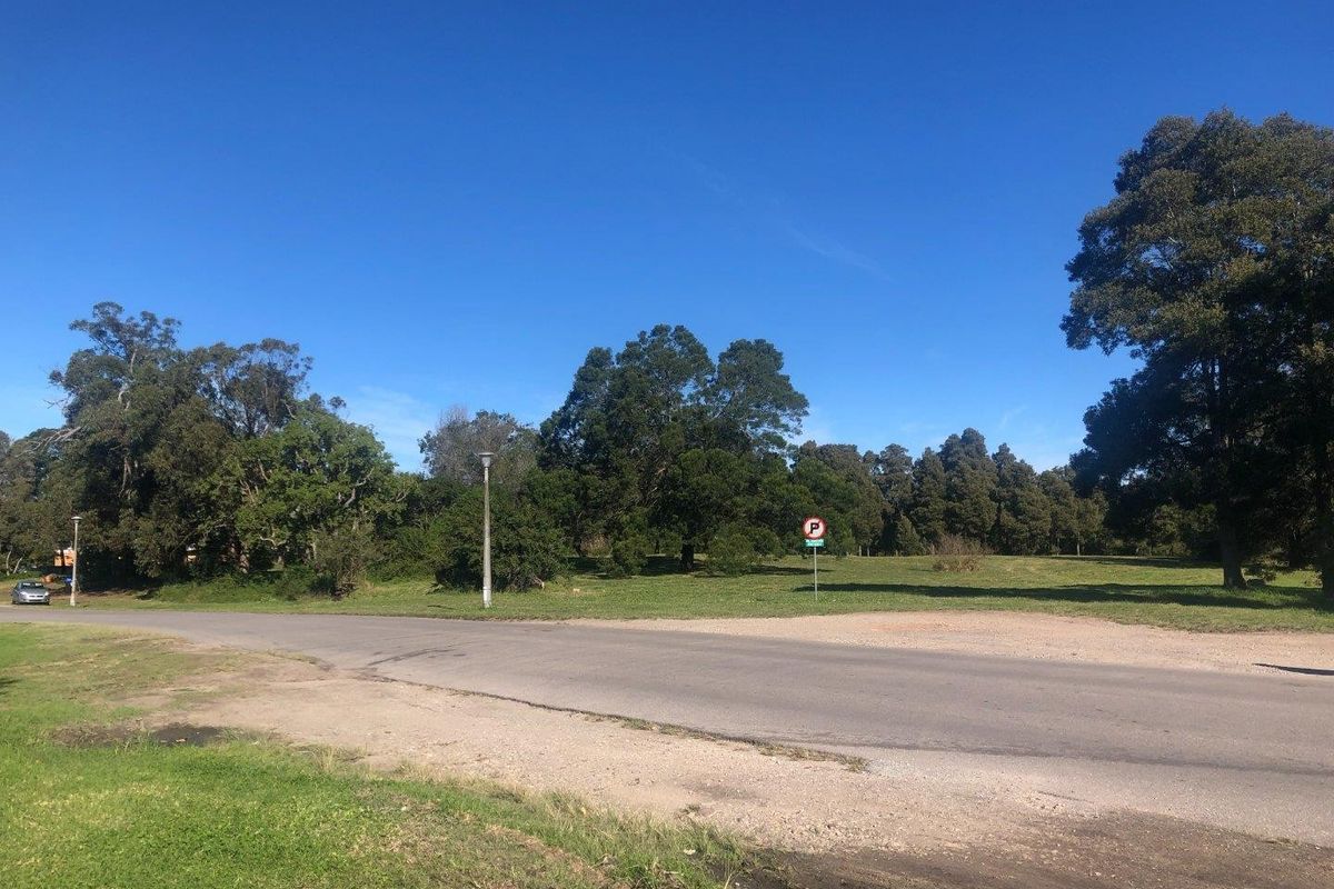 A view of the street frontage showing the vacant residential land, mature trees, and existing street infrastructure.