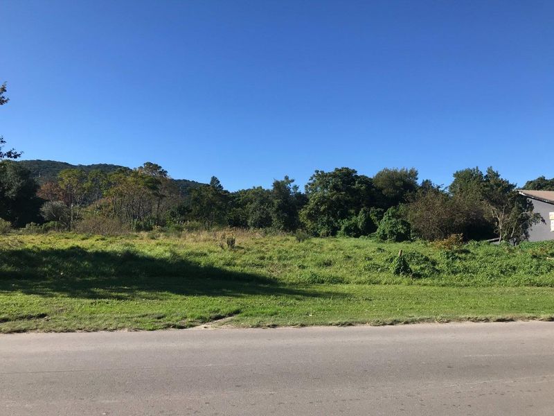 A view of a vacant residential plot of land featuring natural grass and mature trees, accessible from the adjacent paved road.