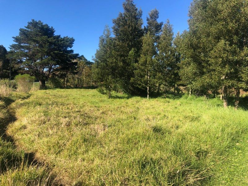A view of a vacant residential plot featuring established trees and open grassy areas, suitable for future development.