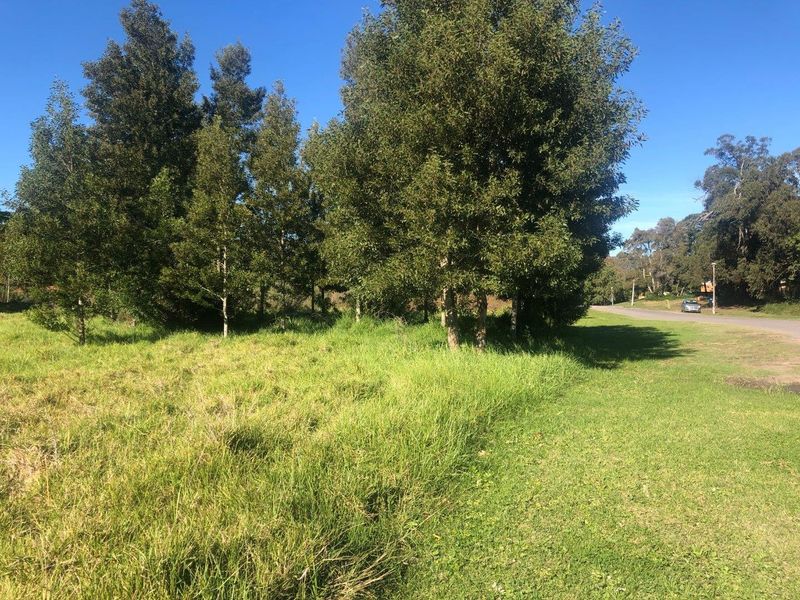 A view of a vacant residential plot featuring established trees and open grass area adjacent to a paved road.