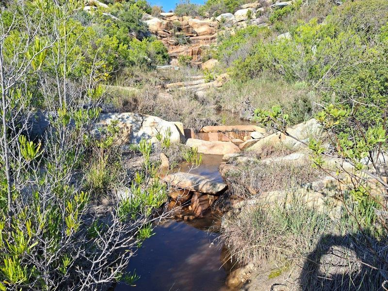 A scenic view of a natural rocky stream flowing through indigenous vegetation on the farm property.
