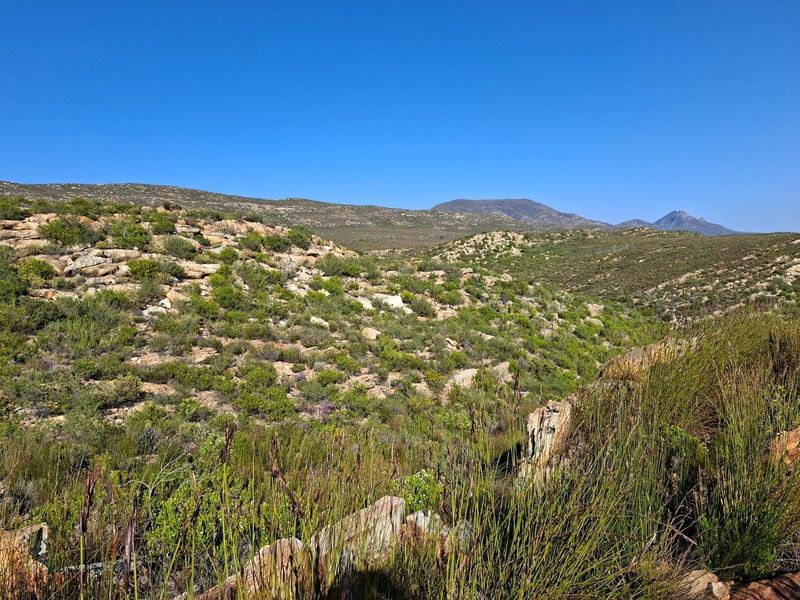 A scenic view of the expansive natural landscape featuring rolling hills, rocky terrain, and distant mountain ranges under a clear blue sky.