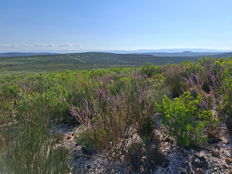 A scenic view of the expansive natural landscape and rolling hills, showcasing the property's rural setting and indigenous vegetation.