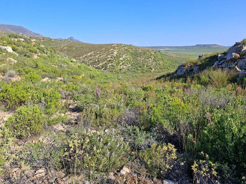 A scenic view of the natural landscape featuring rolling hills and indigenous vegetation on the farm property.