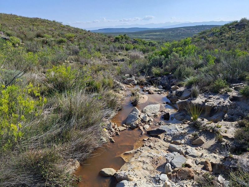 A scenic view of a natural stream flowing through rocky terrain and indigenous vegetation on the farm property.
