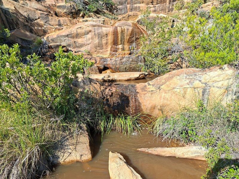 A natural rock formation featuring a small stream and water feature, showcasing the scenic landscape of the farm property.