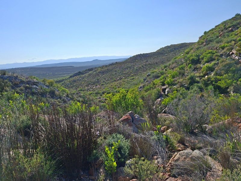 A scenic, elevated view of the natural farm landscape, featuring rolling hills, indigenous vegetation, and rocky terrain under a clear blue sky.