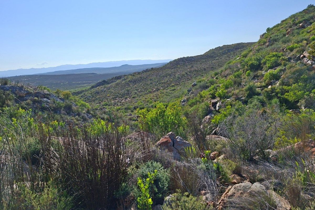 A scenic, elevated view of the natural farm landscape, featuring rolling hills, indigenous vegetation, and rocky terrain under a clear blue sky.