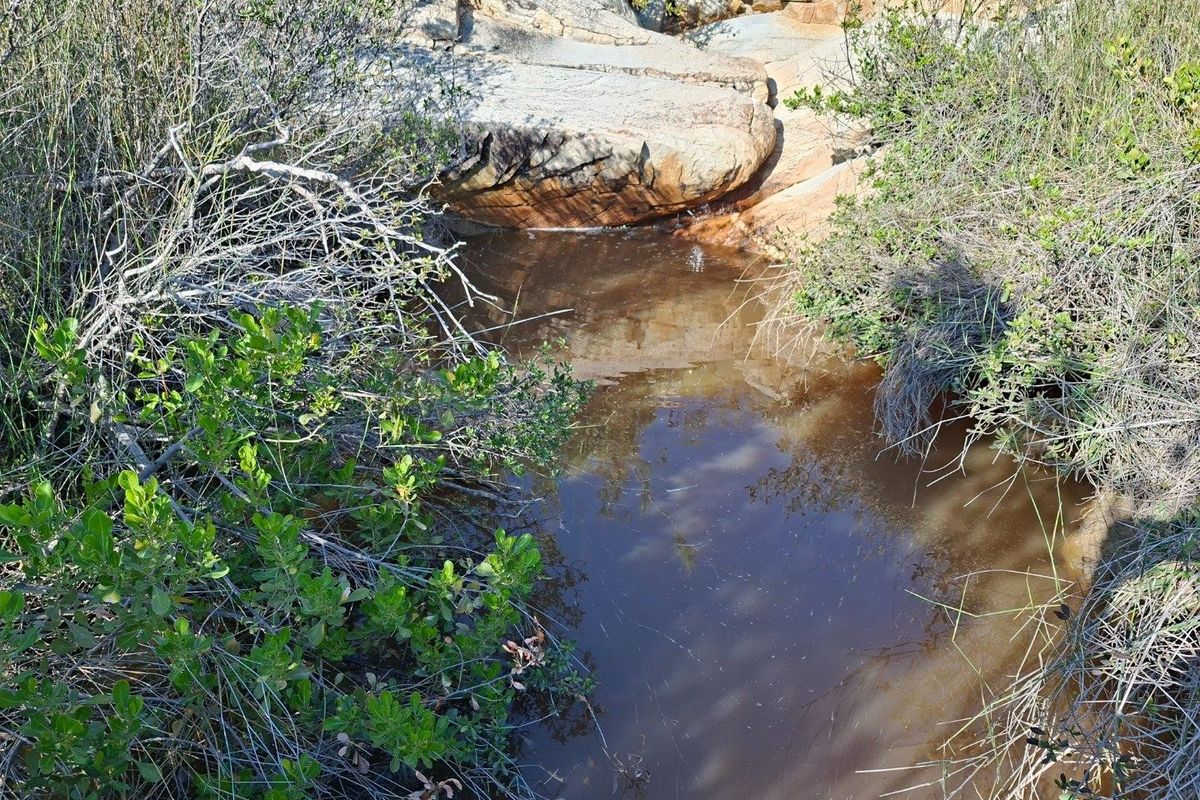 A natural landscape feature on the farm property, showcasing native vegetation and natural rock formations surrounding a small water pool.