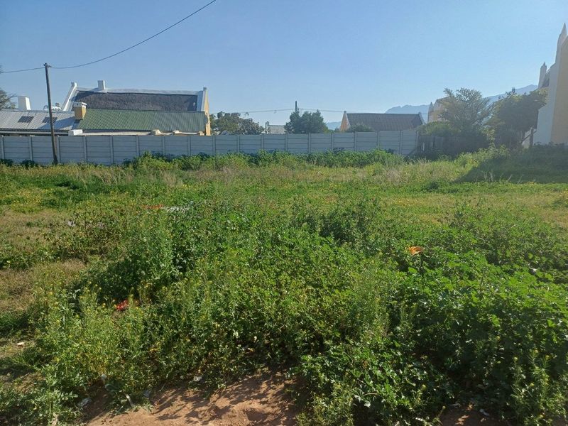 An undeveloped plot of land featuring overgrown vegetation and a precast concrete boundary wall, offering potential for future landscaping or development.