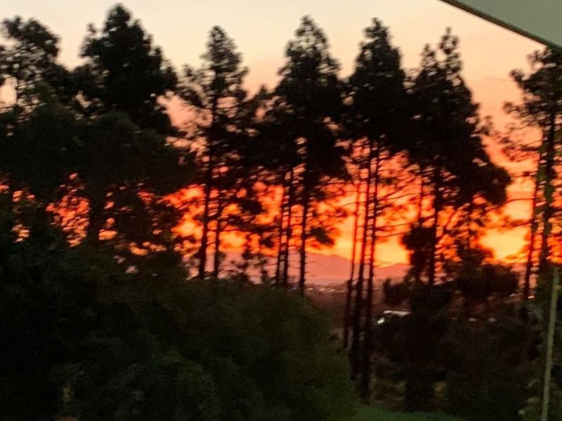 A scenic sunset view featuring silhouetted trees against a vibrant orange and red sky.