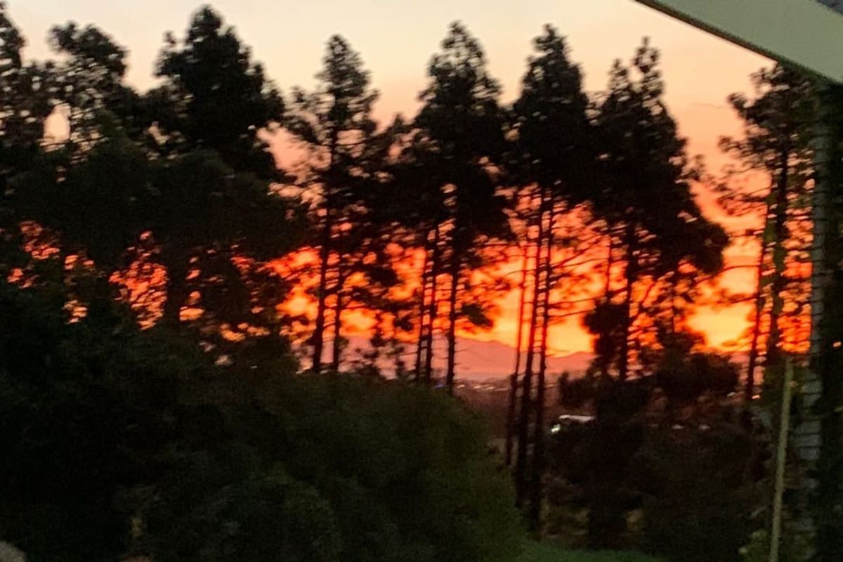 A scenic sunset view featuring silhouetted trees against a vibrant orange and red sky.