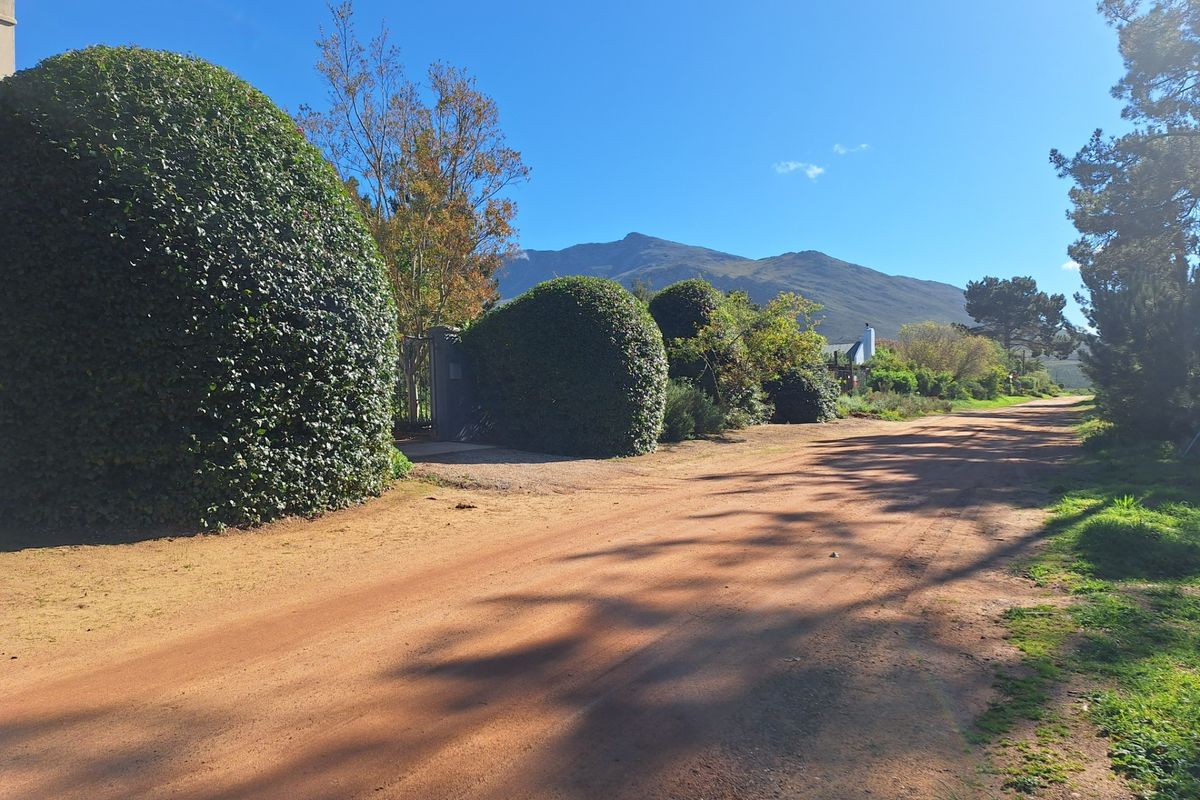 A scenic street view of an unpaved residential road featuring mature landscaped hedges and a clear view of the surrounding mountains.