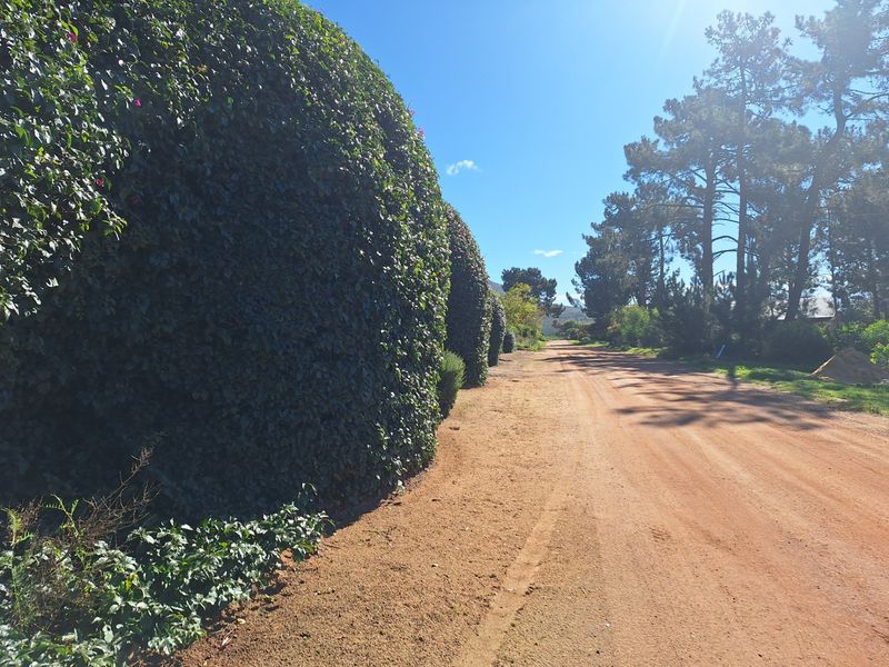 Vacant Land For Sale in Bot River - Photo 3