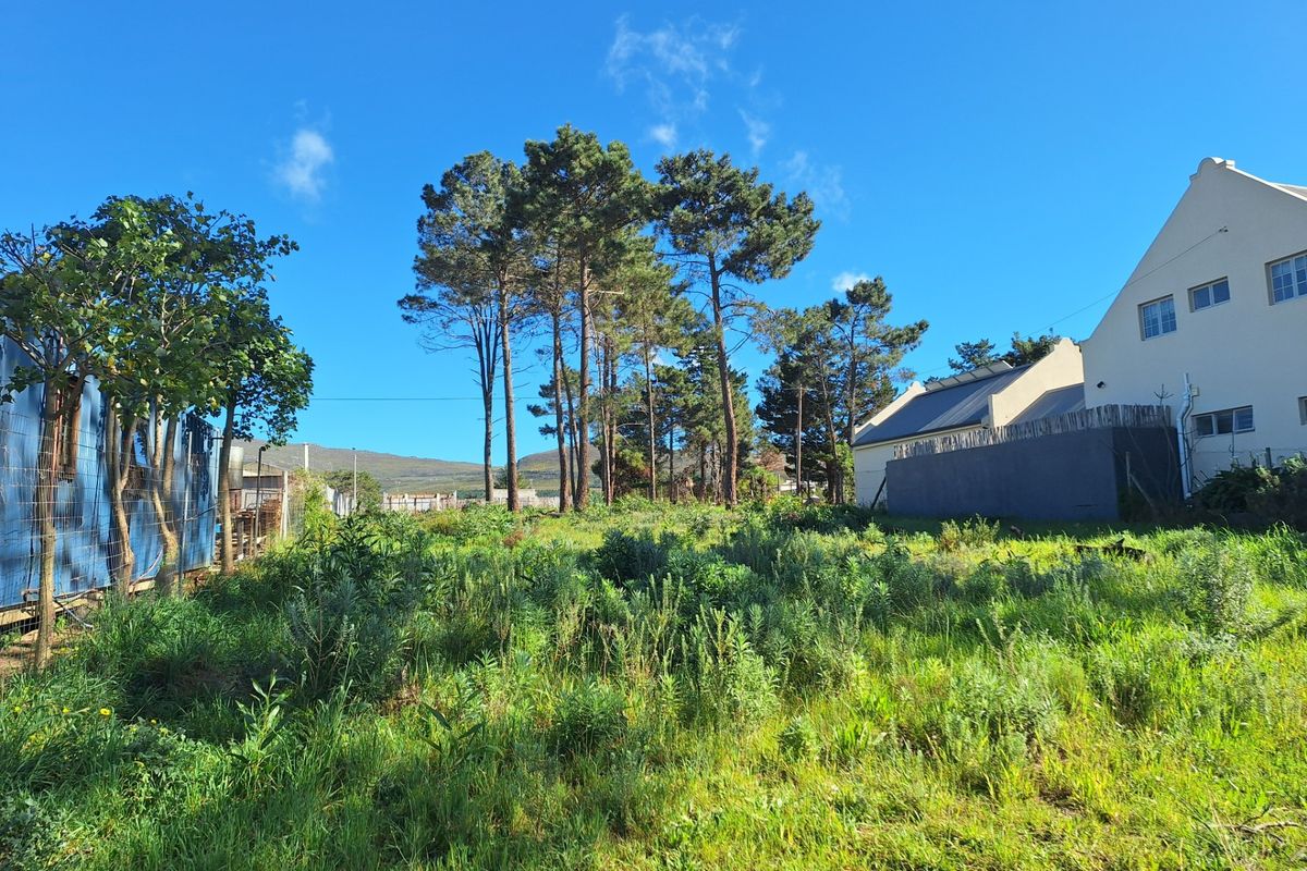 A view of a vacant residential plot featuring established trees, natural vegetation, and perimeter fencing adjacent to existing residential structures.