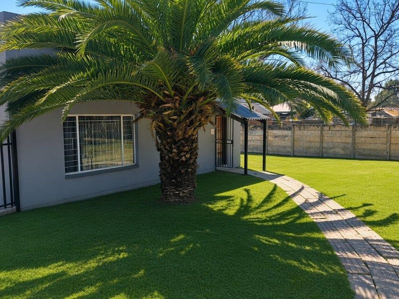 A well-maintained rear garden featuring a paved walkway, artificial lawn, and a mature palm tree, complemented by a secure boundary wall.