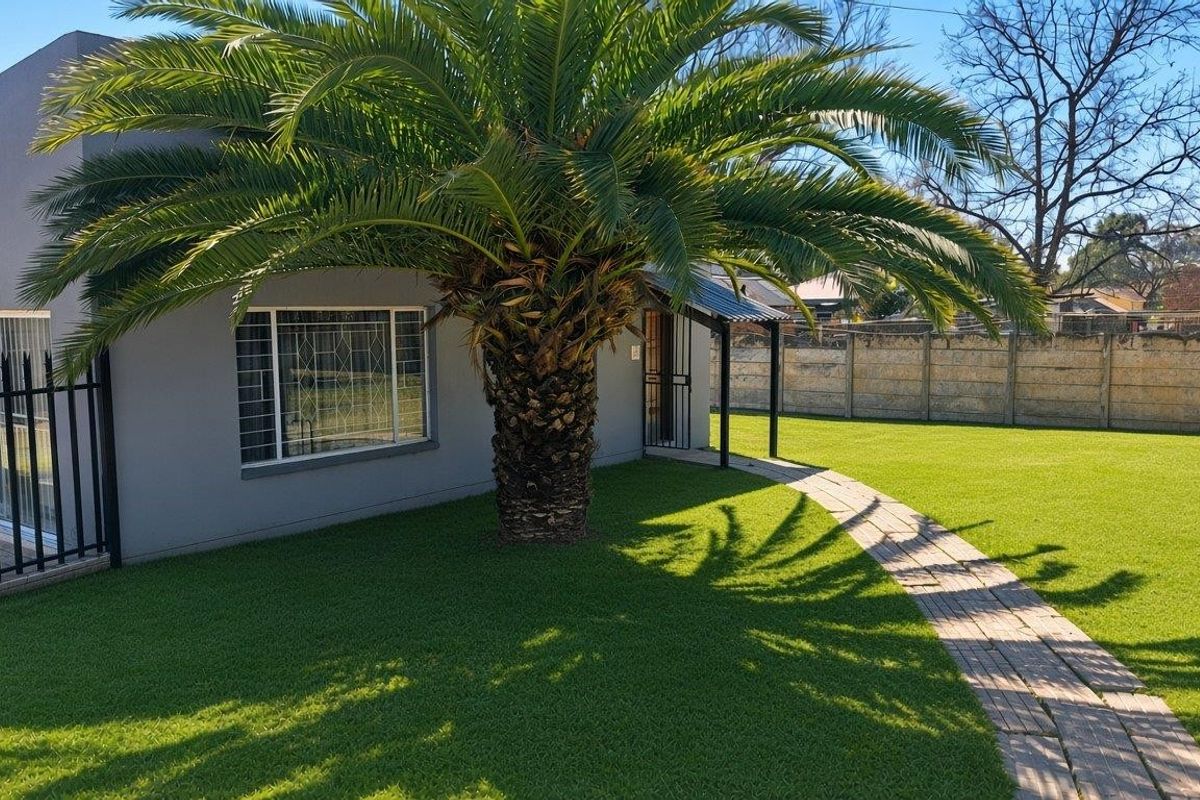A well-maintained rear garden featuring a paved walkway, artificial lawn, and a mature palm tree, complemented by a secure boundary wall.