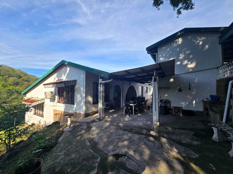 Rear view of the house featuring a covered patio area with concrete flooring and established garden surroundings.