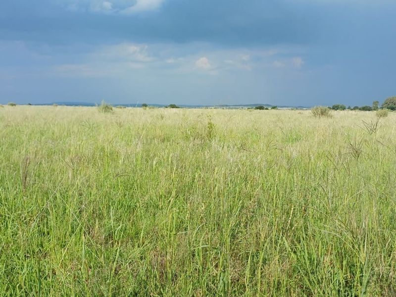 Expansive open grassland landscape view on the farm property under a cloudy sky.