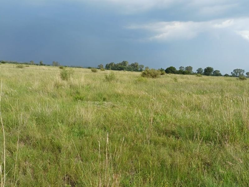 Expansive open grassland landscape on the farm property under a cloudy sky.