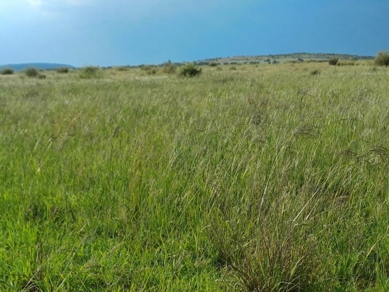 Expansive open grassland landscape typical of the farm property, showcasing the natural terrain and surrounding rural environment.