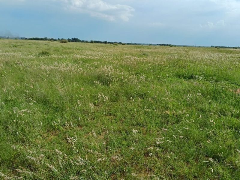 A wide, open expanse of natural grassland and pasture, typical of rural farm acreage.